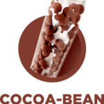 Cocoa Bean Chocolate