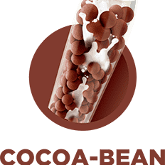 Cocoa Bean Chocolate