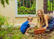 Beautiful Young Woman And Her Cute Son Planting Seedlings In Bed