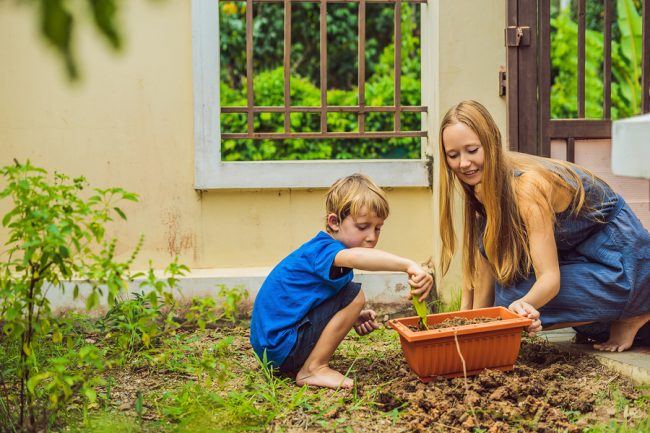 Beautiful Young Woman And Her Cute Son Planting Seedlings In Bed